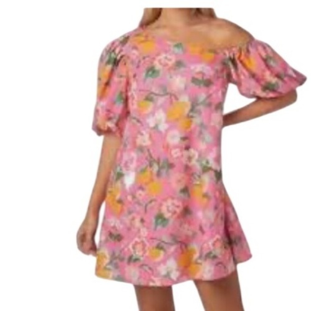 Crosby by Mollie Burch Raleigh Dress Womens Small Pink Floral NWT bubble sleeve